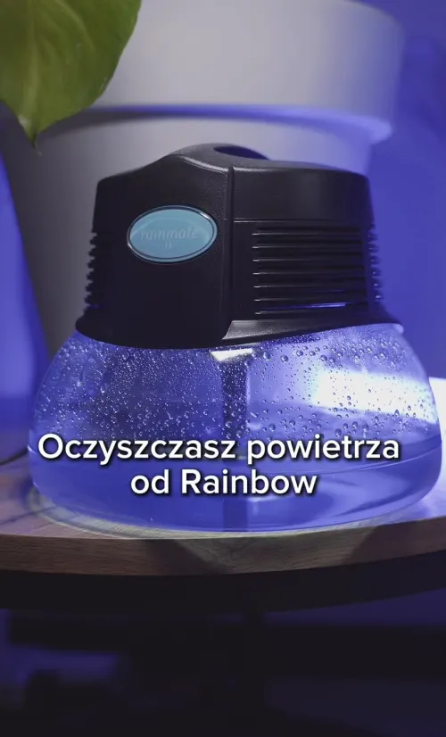 Rainbow — materiał UGC